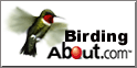 Birding at About.com